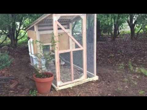 Backyard Chickens - DIY BEST easy to clean, worry-free Chicken Coop!