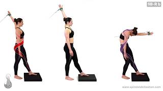 Exercițiul asimetric 7. CZ . Vă puteti comanda ex 7-10, pe adresa janverbenik@gmail.com