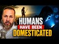Daniel Vitalis On Human Domestication Technology ReWilding Modern Humans