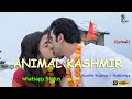 ANIMAL KASHMIR Lyrical Ranbir Kapoor Rashmika Whatsapp Status 4k Video Shorts