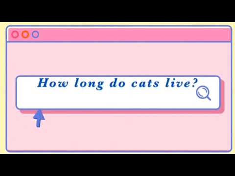 How long do cats live? do females live longer than males? Does the breed of cat affect the lifespan?