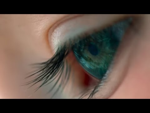 image Voyage of Time: Life's Journey