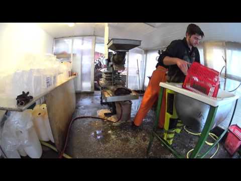 Äppelpressen på Rosenhill