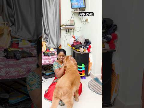 Idhuvum Siblings Fight Thana ?? #youtubeshorts #comedy #harishhatricks #love #dog