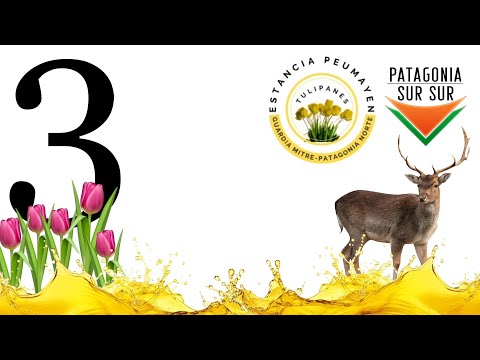 Estancia PEUMAYEN, Ciervos y Tulipanes ( 3 )