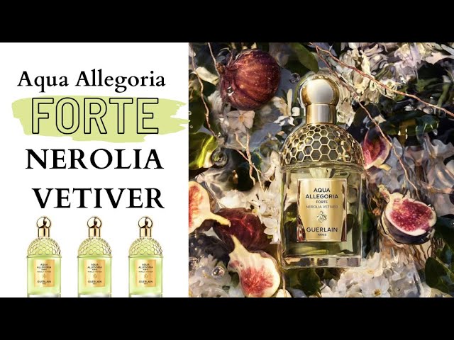 Vídeo relacionado con GUERLAIN AQUA ALLEGORIA FORTE NEROLIA VETIVER EDP 75 ML VP