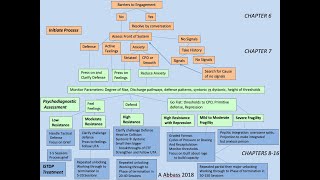 ISTDP Algorithm Overview. ISTDP Shorts with Allan Abbass