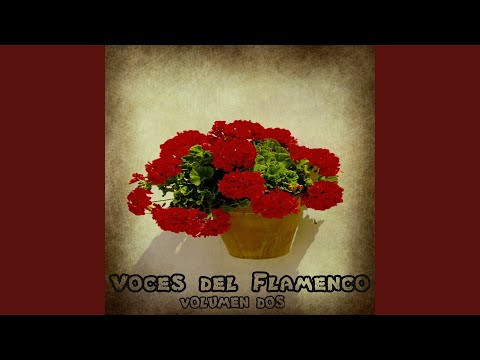 Sueño de Amor (Al Alba)