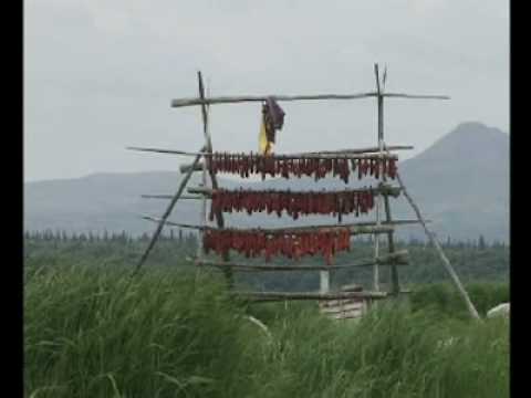 Il salmone selvatico dell'Alaska
