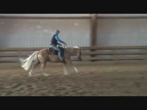 Dunnit With Guns - by Gunner (X Hollywood Dun It)