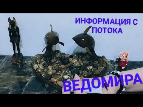 ????????????????????????????ЕСТЬ ЛИ БУДУЩЕЕ С ЭТИМ ЧЕЛОВЕКОМ? ИНФОРМАЦИЯ С ПОТОКА????☝