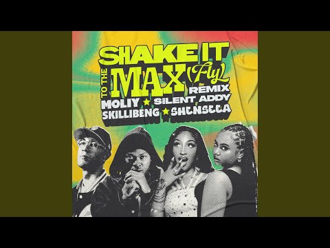 Shake It To The Max (FLY) (Remix)