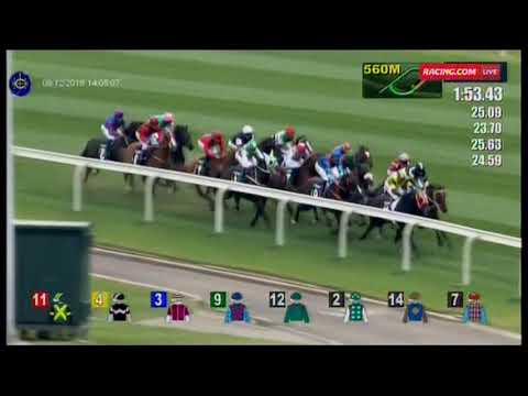 2018 HKIR 𝐓𝐡𝐞 𝐋𝐨𝐧𝐠𝐢𝐧𝐞𝐬 𝐇𝐨𝐧𝐠 𝐊𝐨𝐧𝐠 𝐕𝐀𝐒𝐄