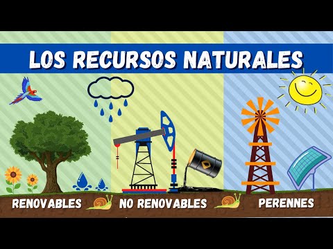 Tomi Digital Recursos Naturales<script async src=