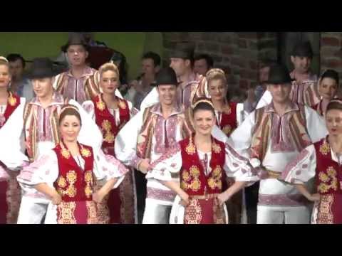 Sorocuri - Aniversare Ansamblul Timisul - 2014