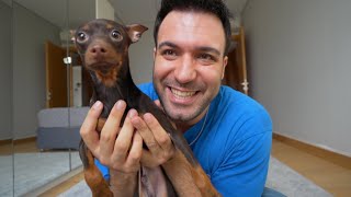 I adopted a new dog!