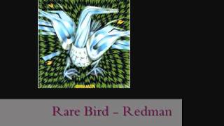 Download lagu Rare Bird - Redman (lyrics   remastered) mp3 Download lagu Rare Bird - Redman (lyrics   remastered) mp3