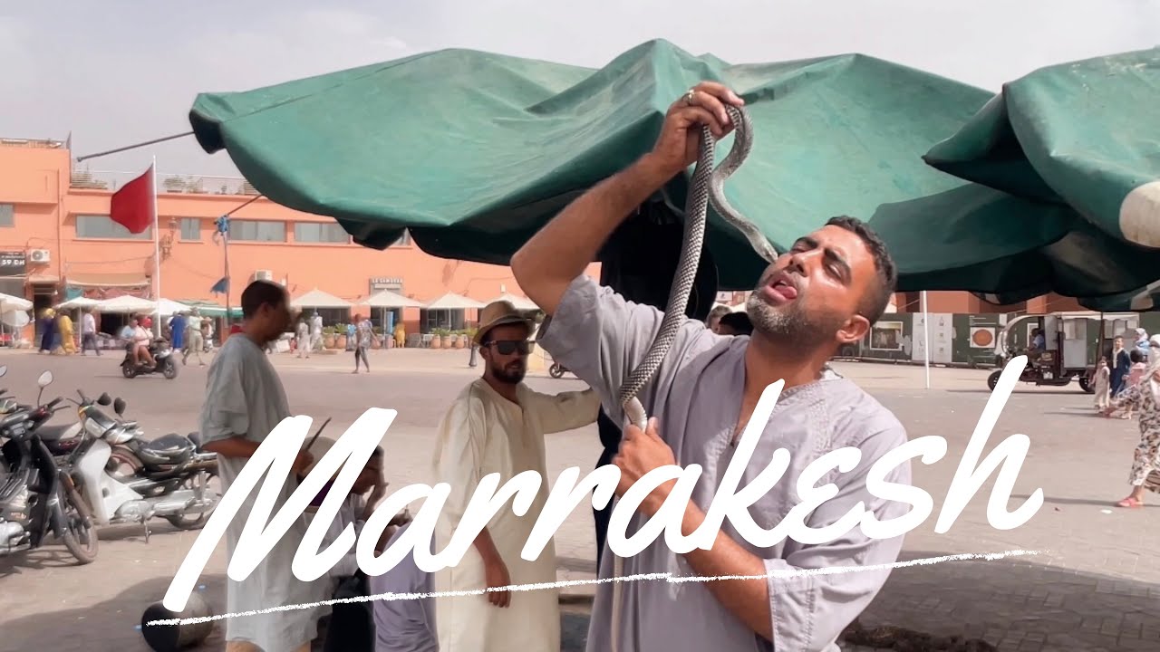 FANTASTIC Marrakesh Morocco Travel Vlog