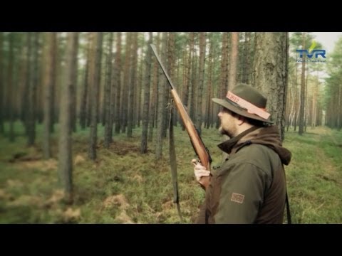 Darz Bór odc. 36 - Polowanie zbiorowe