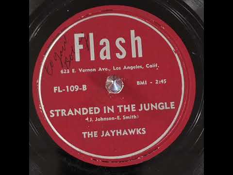 The Jayhawks - Stranded In The Jungle (1956)