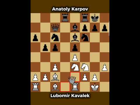 Lubomir Kavalek vs Anatoly Karpov ◉ Caracas 1970 | Brilliant Win by White