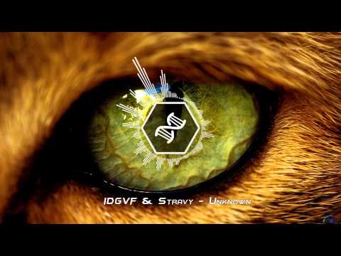 IDGVF & Stravy - Unknown