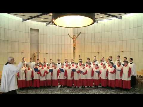 Gotteslobvideo (GL 228): Tochter Zion