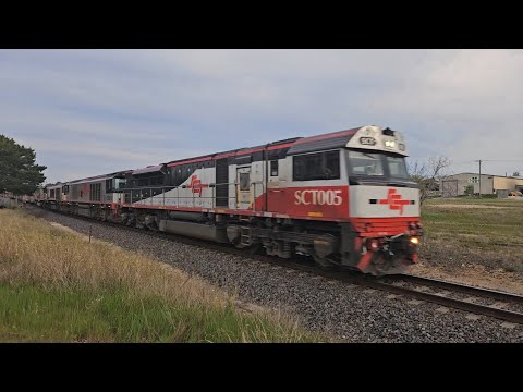 7MA9 SCT Freighter (4 locos), Laverton VIC to Penfield SA, 1750, 28/9/24, Stawell VIC