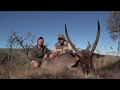 Waterbuck Hunt With Braeside Safaris