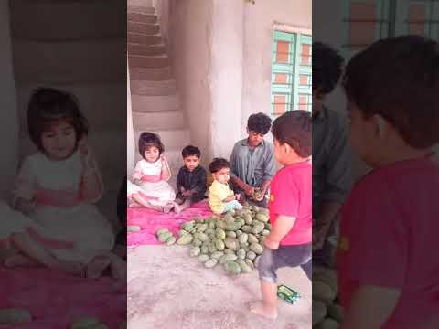 , title : 'Green mango ki very amazing cutting | kache aam ki kathai kaise ki jaati hai | short videos