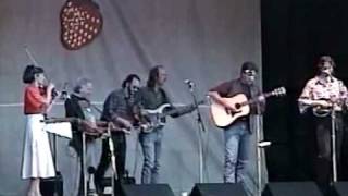"Little Sister" performed by The Acousticats Strawberry 1995
