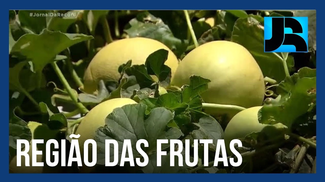 A Força do Campo: Nordeste brasileiro se torna polo exportador de frutas