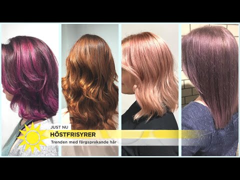 Frisyrerna och färgerna som gäller – så ska vi se ut i håret i höst - Nyhetsmorgon (TV4)