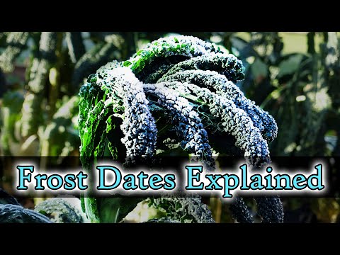 Frost Dates Explained - Garden Quickie Episode 20
