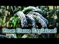 Frost Dates Explained - Garden Quickie Episode 20