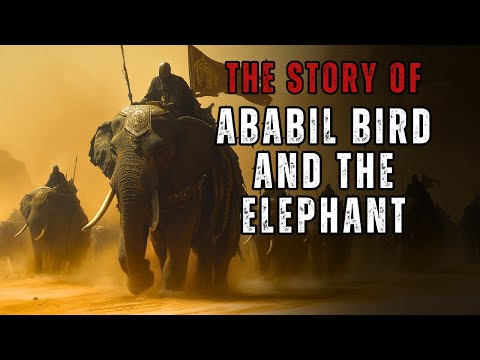 Surah Al Fil | The Story of Ababil Bird And The Elephant