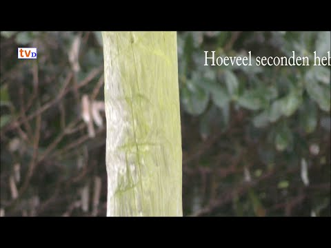 RAAD-VIDEO  Lemelerveld [4] - Wie kent de plek?