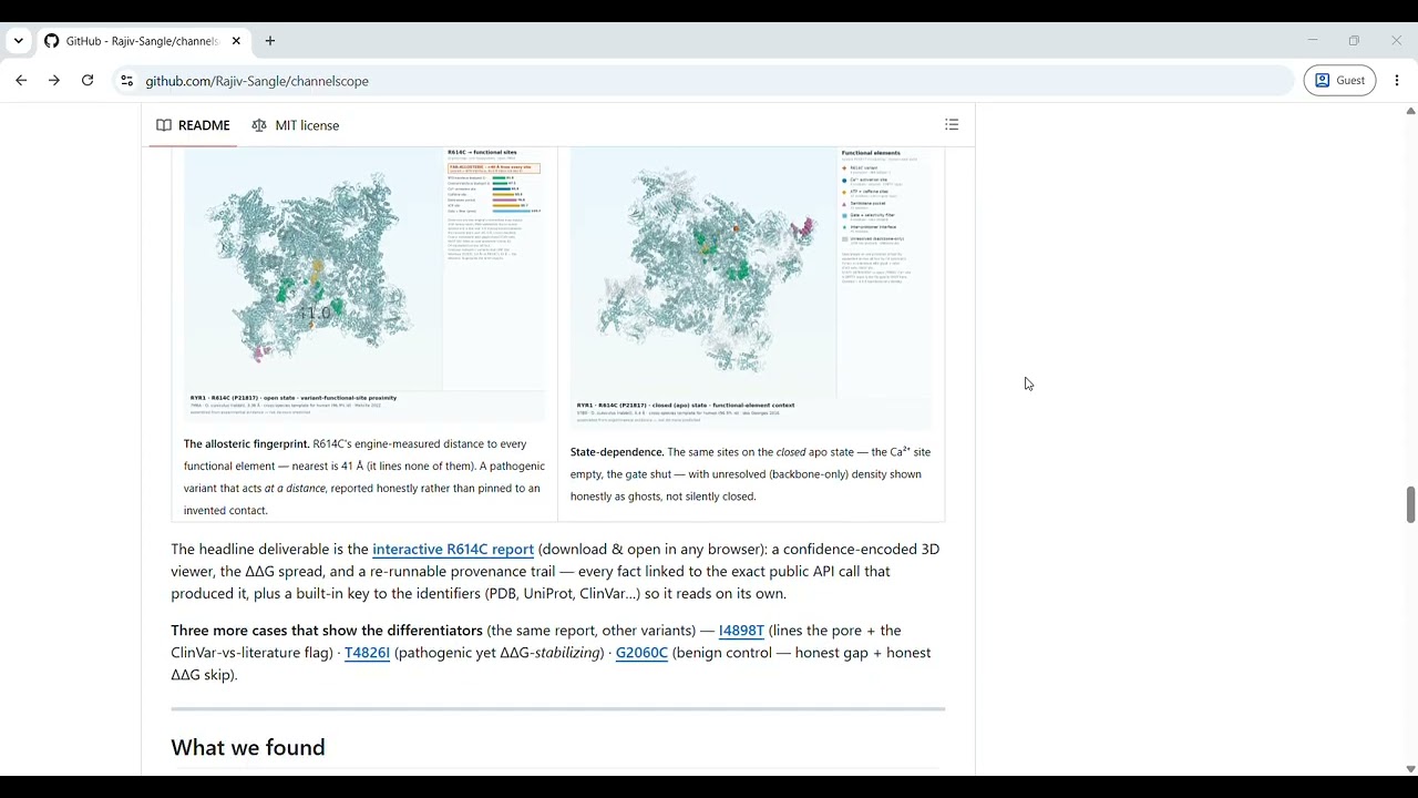 ChannelScope project preview