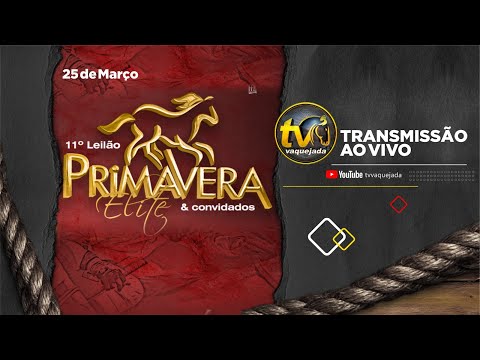 XVI GRANDE PRÊMIO HARAS PRIMAVERA | 25.03.2022