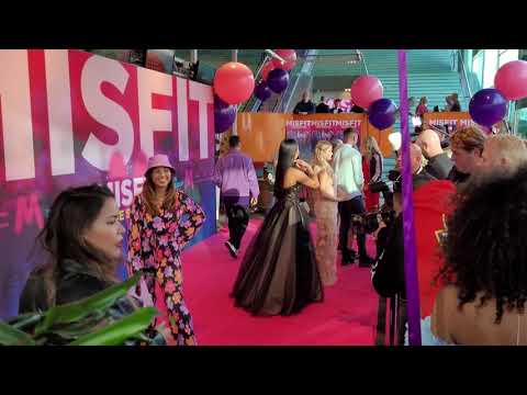 Misfit The Switch - Nienke van Dijk Timor Steffens Roosmarijn Wind Stefania Liberakakis Jim Bakkum