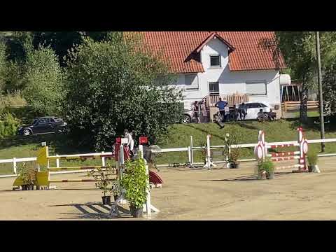 D’INCANTO (8yo D’Inzeo) 04.09.20 Hauerz - 2. Platz 130 cm