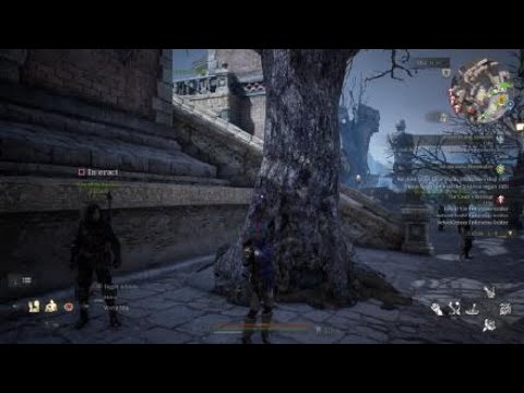 Bless Unleashed Union Missions Have Great Rewards ahead.