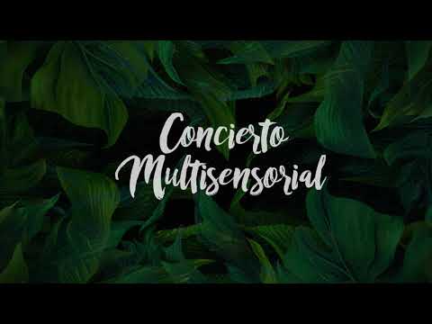 Concierto Multisensorial - HalaKen Art - Bs As 2018