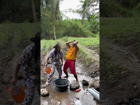 Ikan tutut dimakan kepiting #gandol
