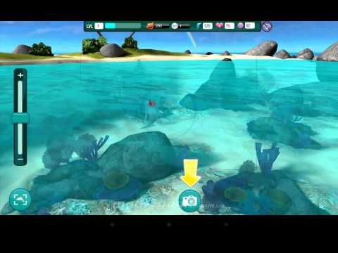 Dolphin Paradise : Wild Friends IOS