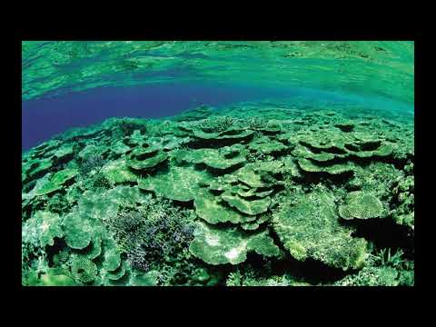 Timeok - Summer Trance Mix (2003)