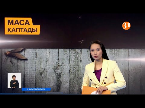 Информбюроның 27.05.2021 күнгі толық шығарылымы