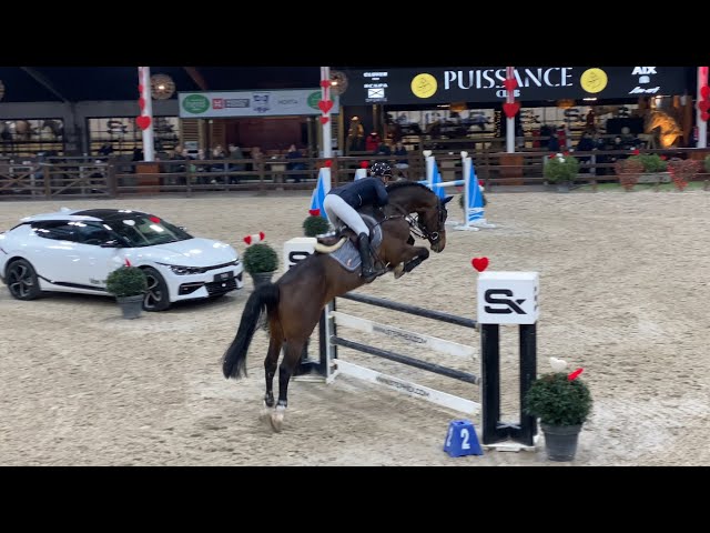 Full-brother of this Implanted embryo is the CSI 1.40m Zangersheide Stallion Corlou PS with rider Caroline Müller.