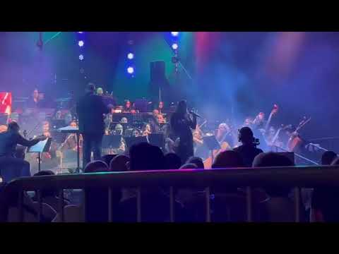 Need to Feel Loved (Reflekt ft. Delline Bass Orchestral Cover)