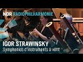 Strawinsky: "Symphonies d’instruments à vent" mit Andrew Manze | NDR Radiophilharmonie